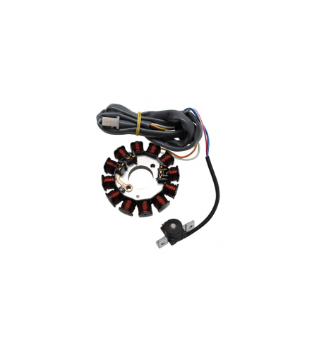 STATOR ALLUMAGE SCOOT ADAPTABLE ORIGINE POUR BOOST