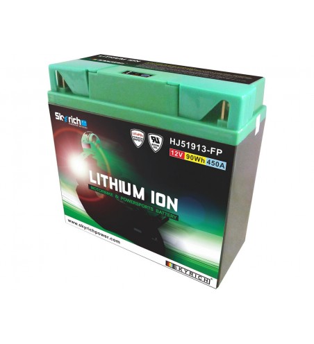 BATTERIE SKYRICH LITHIUM ION 51913 SANS