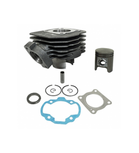 CYLINDRE FONTE SCOOT AVEC PISTON POUR PEUGEOT 50 TKR TREKKER SPEEDFIGHT AIR VIVACITY BUXY SQUAB ZENITH ELYSEO