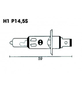 LAMPE / AMPOULE H1 12 V 55