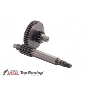 TRANSMISSION ARBRE + PIGNON Engrenages JASIL 13 / 43 - 13 POUR MBK / YAMAHA / APRILIA / MALAGUTI / BETA