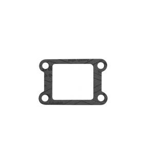 JOINT CLAPET MINA. AM6