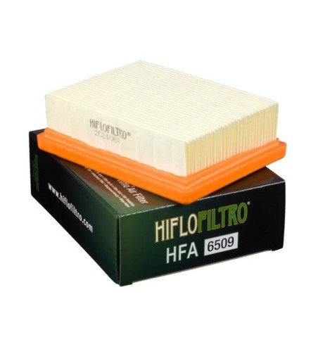 FILTRE A AIR  HIFLOFILTRO TRIUMPH T100