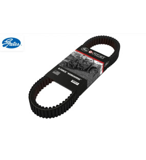 COURROIE CF MOTO 1000 ADAPTABLE A PARTIE DE 2024