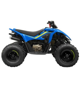 QUAD CF MOTO ENFANT CFORCE 110 BLEU OU ROUGE